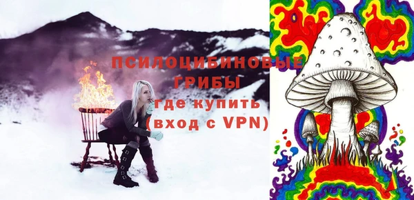 шишки Наволоки