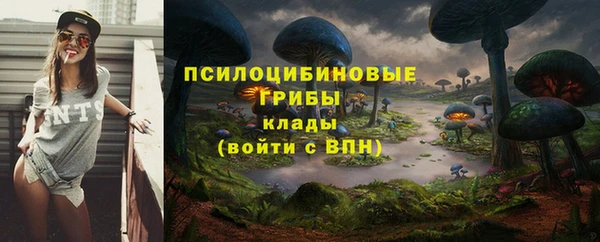 мет Надым